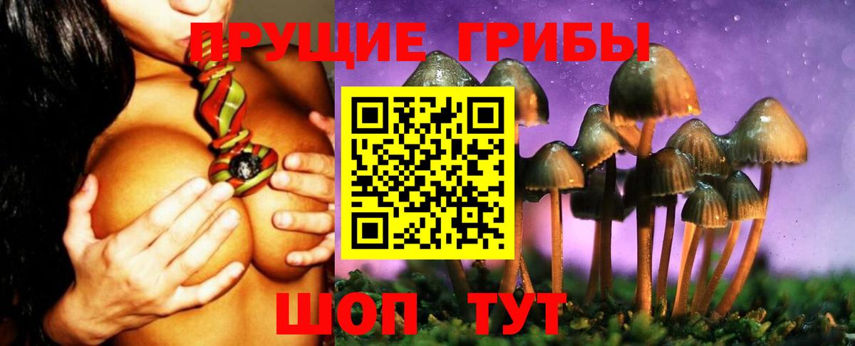 Псилоцибиновые грибы мухоморы Унеча