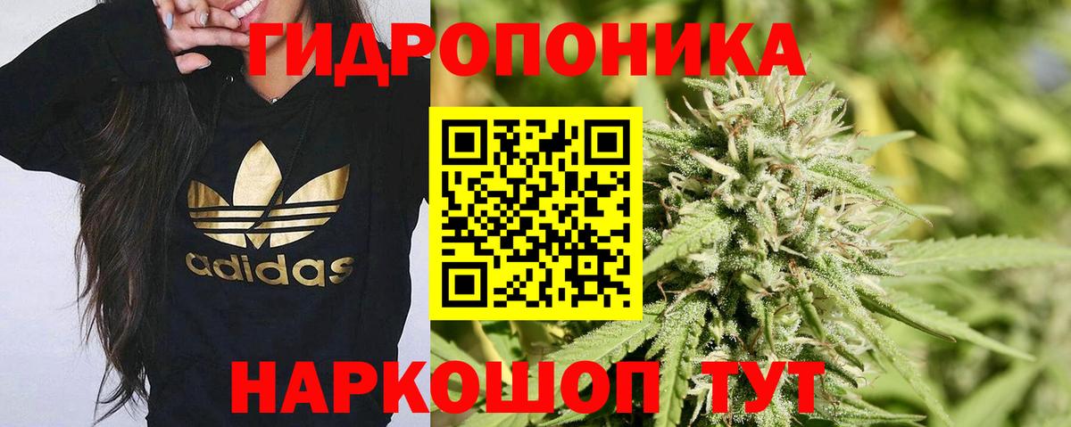 Бошки Шишки семена  Бошки марихуана Amnesia  Вход с VPN  Унеча  Конопля VHQ 